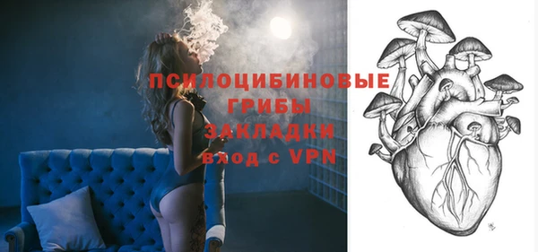 ешки Пересвет
