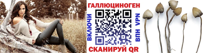 купить   Дудинка  Галлюциногенные грибы Psilocybe 
